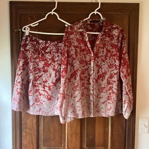 The Limited. Sheer Blouse and Lined skirt. Size medium.